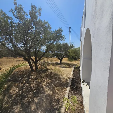 Blue And White View *