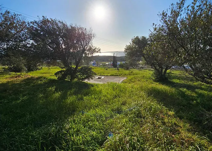 דירה Blue And White View